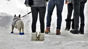Śniegowce dziecięce - buty do zadań specjalnych